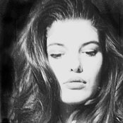 Lovely Quinces - List pictures