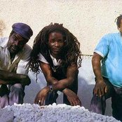 Mighty Diamonds - List pictures