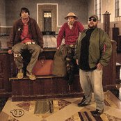 Ugly Duckling - List pictures