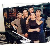 Ornatos Violeta - List pictures