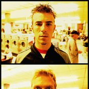 Black Lab - List pictures