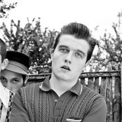 Mustang - List pictures