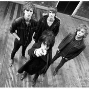 The Struts - List pictures