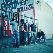 Cynic - List pictures