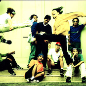 Purpose - List pictures