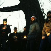 A Band Of Bees - List pictures