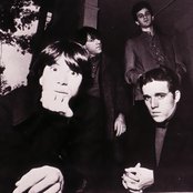 The Three O'clock - List pictures