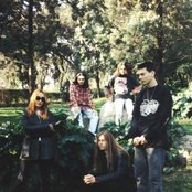 Haemorrhage - List pictures