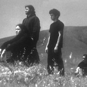 Dredg - List pictures