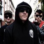 Cobra Skulls - List pictures