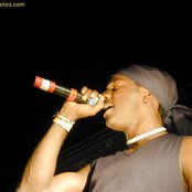 Tony Curtis - List pictures