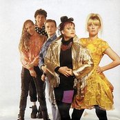 Voice Of The Beehive - List pictures