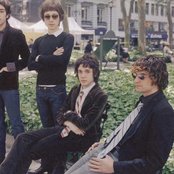 The Redwalls - List pictures