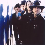 Perl Jam - List pictures