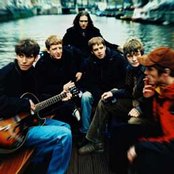 The Coral - List pictures