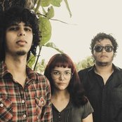 Necronomicon - List pictures