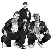 Massive Töne - List pictures