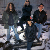 Biohazard - List pictures