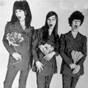 The Shangri-las - List pictures