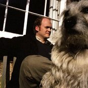 James Yorkston - List pictures