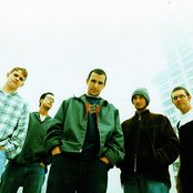 Pedro The Lion - List pictures