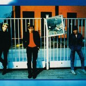 Alphaville - List pictures