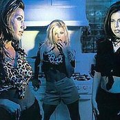 Wild Orchid - List pictures