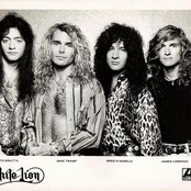 White Lion - List pictures