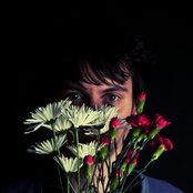 Panda Bear - List pictures