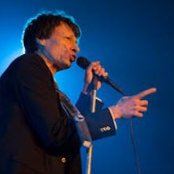 Steve Taylor - List pictures