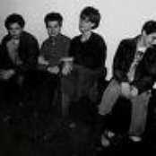 The Young And The Useless - List pictures