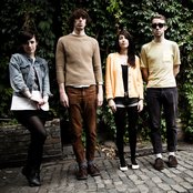 Veronica Falls - List pictures