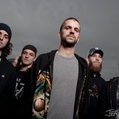 The Contortionist - List pictures
