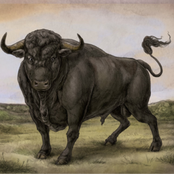 San Fermin - List pictures