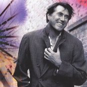 Bryan Ferry - List pictures
