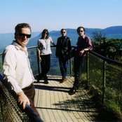 Mick Harvey - List pictures