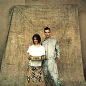 Lamb - List pictures