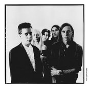 Live Skull - List pictures