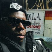 King T - List pictures