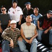 South Border - List pictures