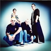 Slick Shoes - List pictures