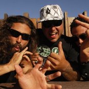 Pepper - List pictures