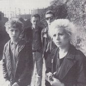 The Pastels - List pictures