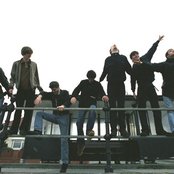 The Coral - List pictures