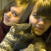 First Aid Kit - List pictures