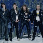 X-wild - List pictures