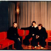 Doves - List pictures