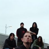 Soil - List pictures