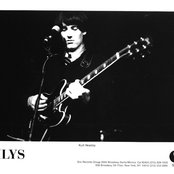 Lilys - List pictures