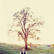 Andrew Bird - List pictures